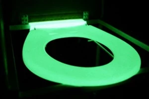 Glow in the Dark Toilet Seat