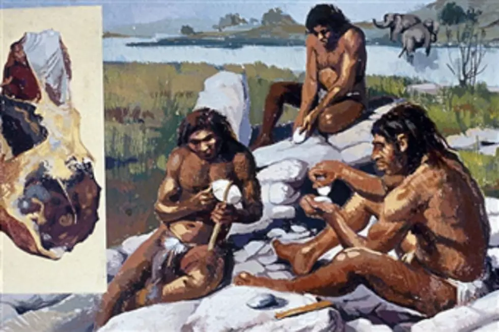 Harvard Professor Looking for Adverturous Woman to Implant Neanderthal DNA
