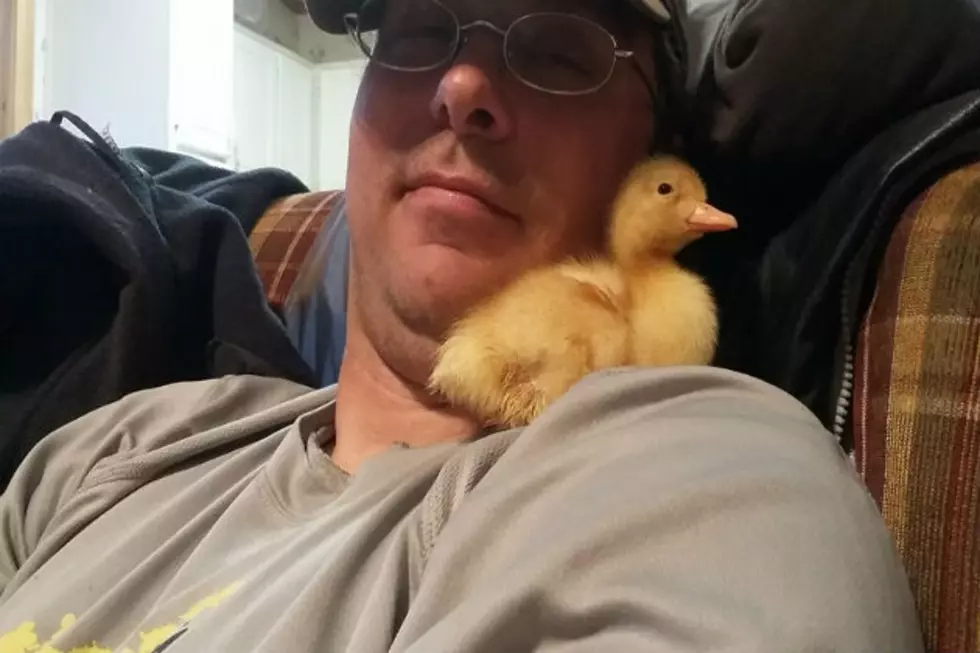 Sarah Got Ducks! Now What?