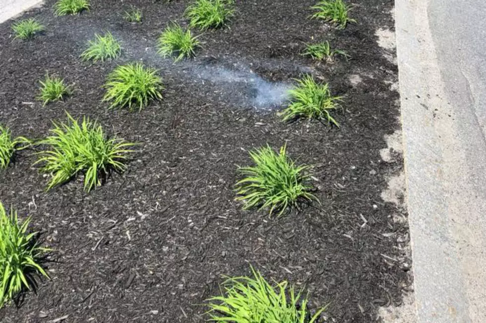 Reason #1 – DON’T THROW CIGARETTES OUT THE CAR WINDOW!!!