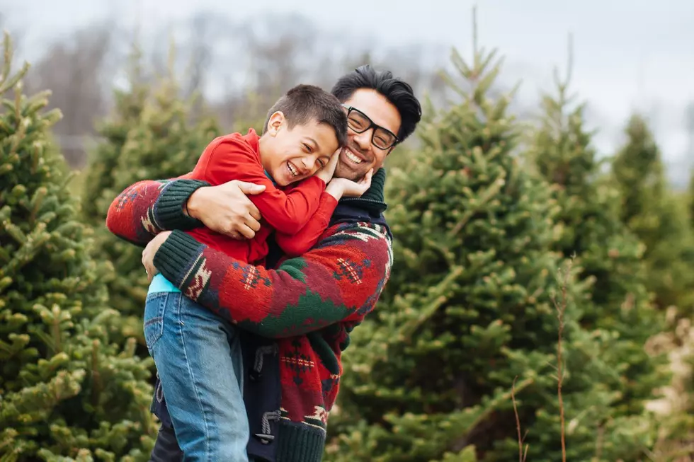 One of Central Maine’s Premier ‘Cut Your Own’ Tree Farms Opens Friday