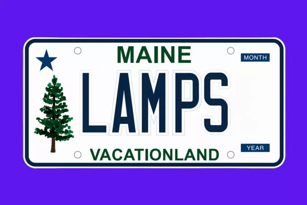 15 Most Maine Vanity Plates You’ve Ever Seen