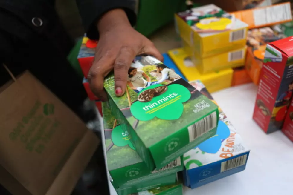Police in Maine Warn Of ‘Cookie Cartel’